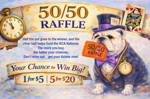 Shop - 2026 Bulldog Club of America National Show